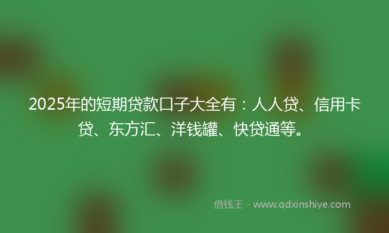 2025年的短期贷款口子大全有：人人贷、信用卡贷、东方汇、洋钱罐、快贷通等。