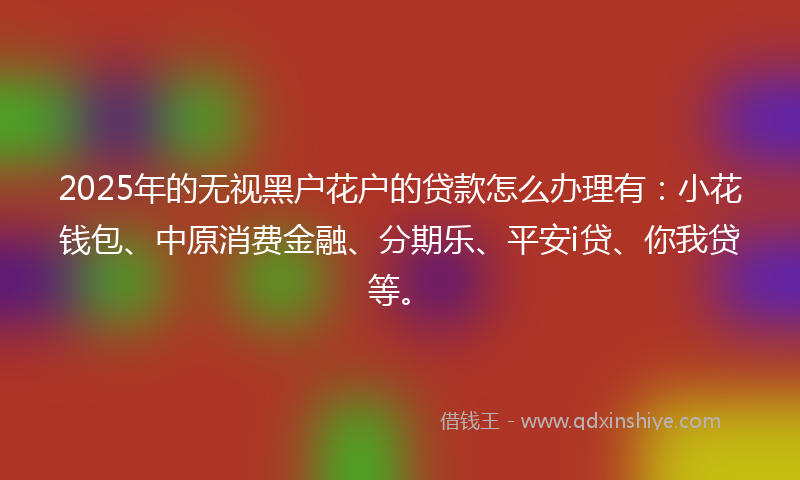 2025年的无视黑户花户的贷款怎么办理有：小花钱包、中原消费金融、分期乐、平安i贷、你我贷等。