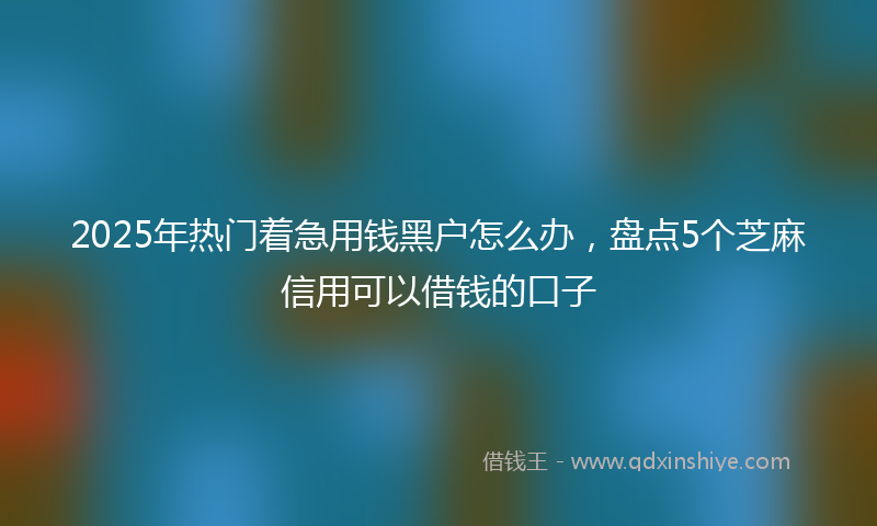 2025年热门着急用钱黑户怎么办，盘点5个芝麻信用可以借钱的口子