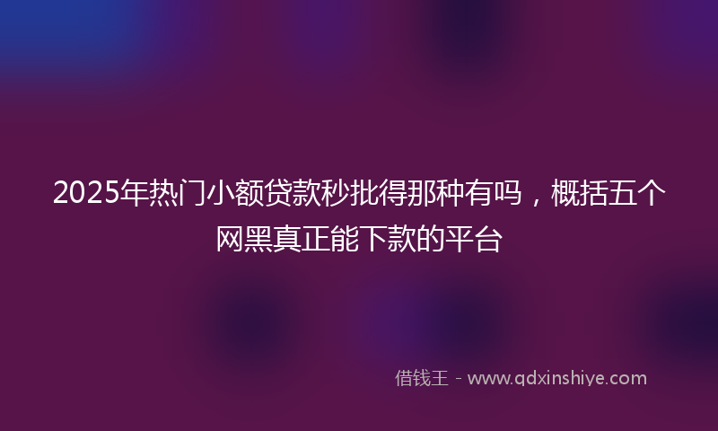 2025年热门小额贷款秒批得那种有吗，概括五个网黑真正能下款的平台