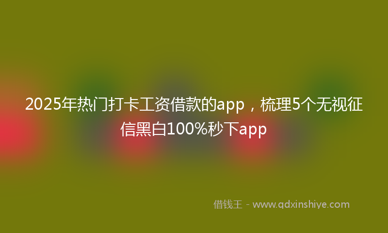2025年热门打卡工资借款的app，梳理5个无视征信黑白100%秒下app