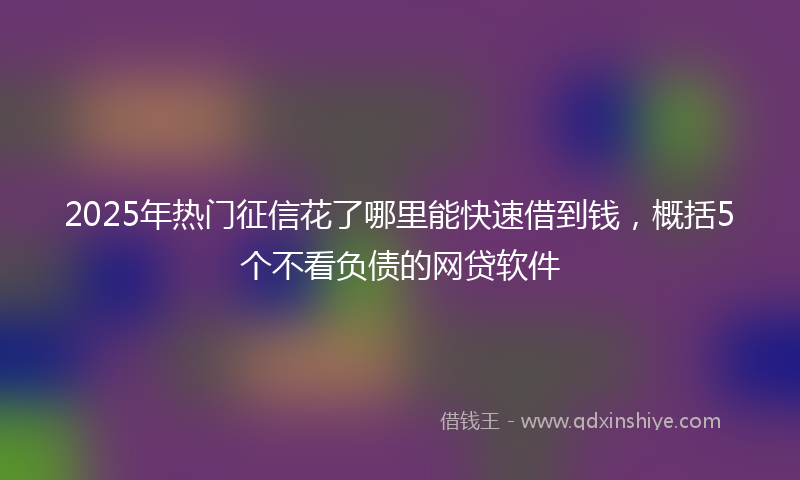 2025年热门征信花了哪里能快速借到钱，概括5个不看负债的网贷软件