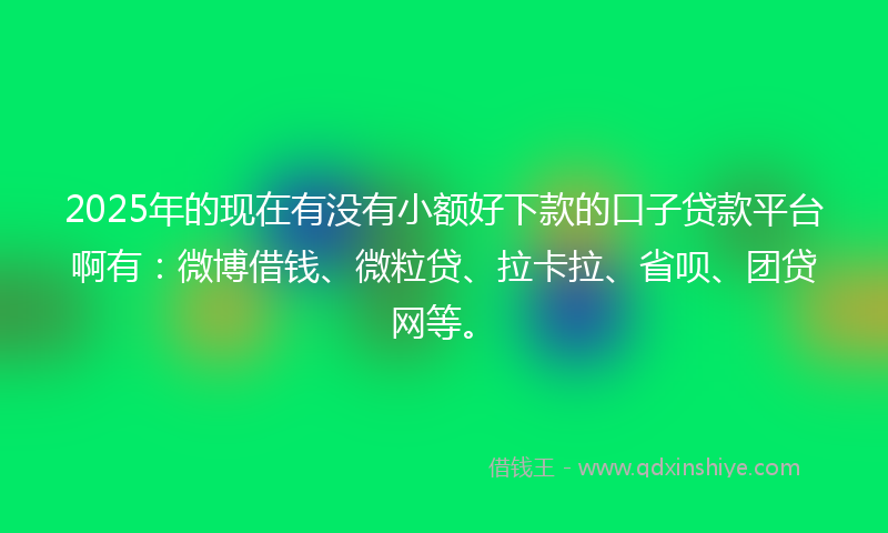 2025年的现在有没有小额好下款的口子贷款平台啊有：微博借钱、微粒贷、拉卡拉、省呗、团贷网等。