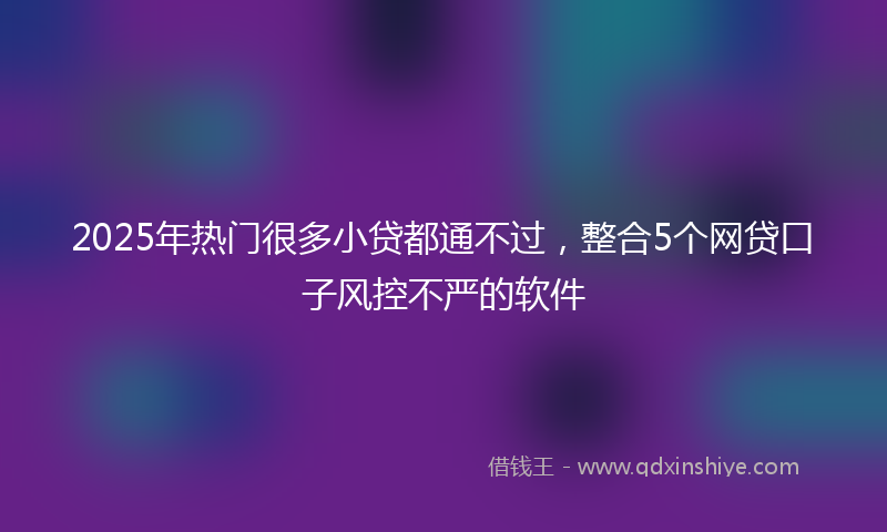 2025年热门很多小贷都通不过，整合5个网贷口子风控不严的软件