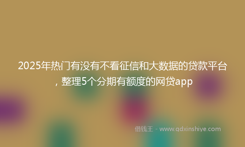 2025年热门有没有不看征信和大数据的贷款平台，整理5个分期有额度的网贷app