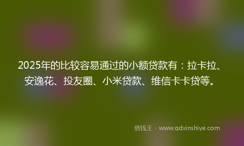 2025年的比较容易通过的小额贷款有：拉卡拉、安逸花、投友圈、小米贷款、维信卡卡贷等。