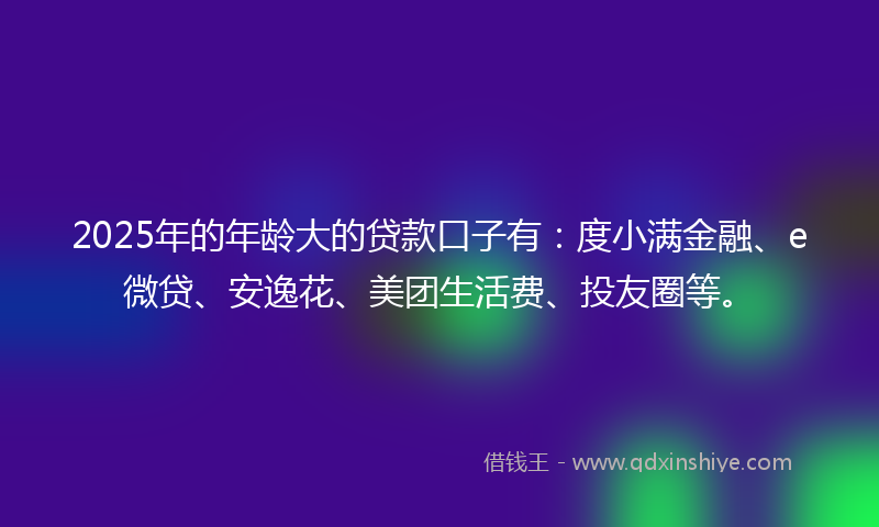 2025年的年龄大的贷款口子有：度小满金融、e微贷、安逸花、美团生活费、投友圈等。