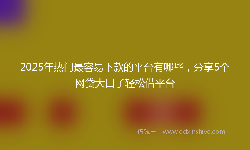 2025年热门最容易下款的平台有哪些，分享5个网贷大口子轻松借平台