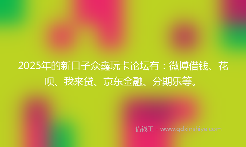2025年的新口子众鑫玩卡论坛有：微博借钱、花呗、我来贷、京东金融、分期乐等。