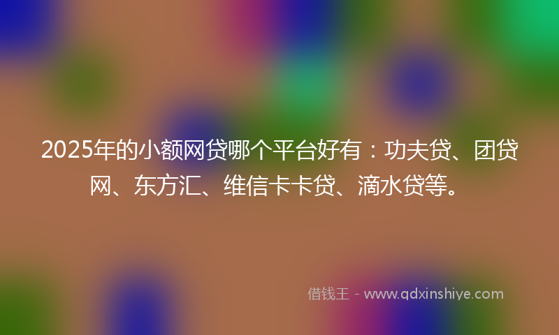 2025年的小额网贷哪个平台好有：功夫贷、团贷网、东方汇、维信卡卡贷、滴水贷等。