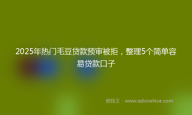 2025年热门毛豆贷款预审被拒，整理5个简单容易贷款口子