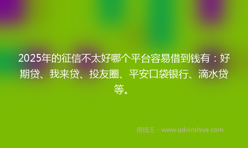 2025年的征信不太好哪个平台容易借到钱有：好期贷、我来贷、投友圈、平安口袋银行、滴水贷等。