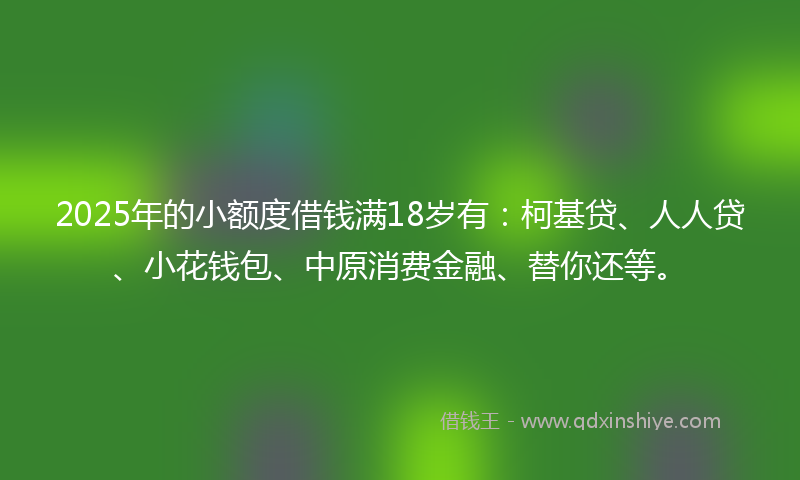 2025年的小额度借钱满18岁有：柯基贷、人人贷、小花钱包、中原消费金融、替你还等。