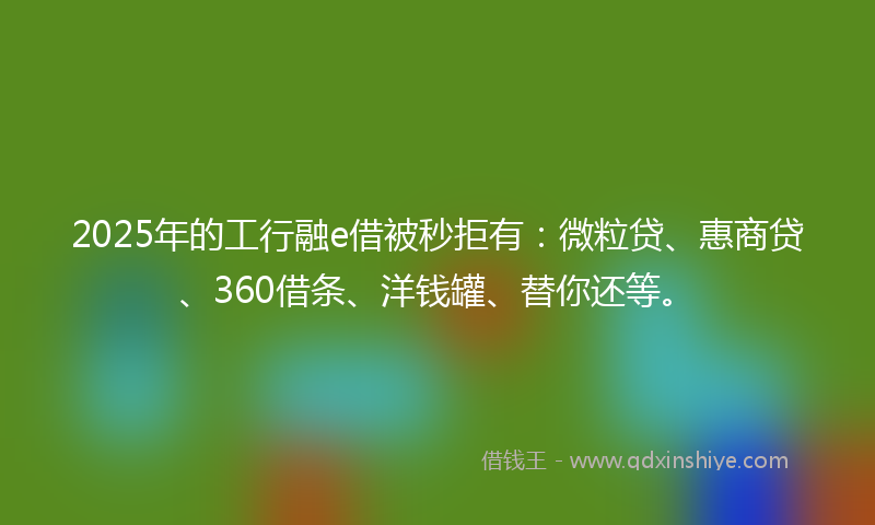 2025年的工行融e借被秒拒有：微粒贷、惠商贷、360借条、洋钱罐、替你还等。