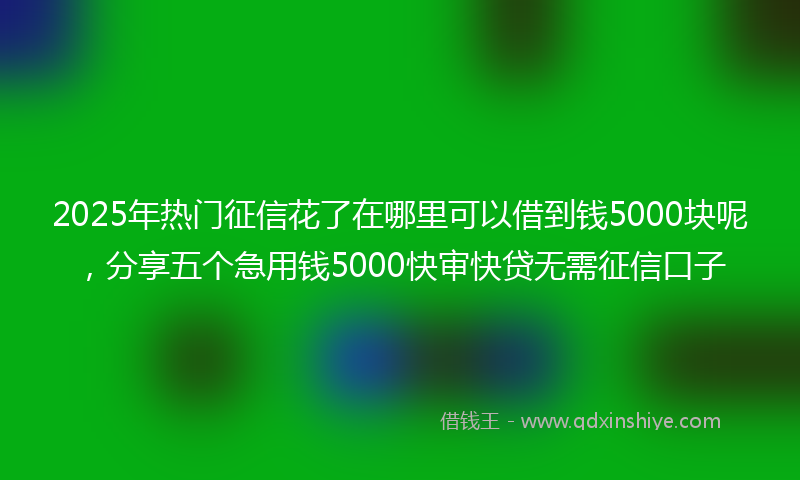 2025年热门征信花了在哪里可以借到钱5000块呢，分享五个急用钱5000快审快贷无需征信口子