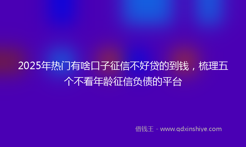 2025年热门有啥口子征信不好贷的到钱，梳理五个不看年龄征信负债的平台