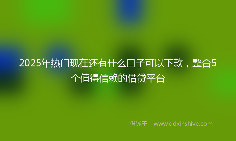 2025年热门现在还有什么口子可以下款，整合5个值得信赖的借贷平台
