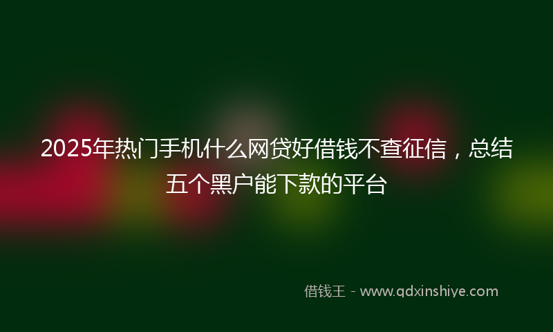 2025年热门手机什么网贷好借钱不查征信，总结五个黑户能下款的平台