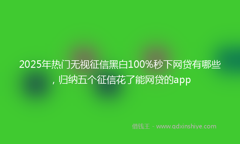 2025年热门无视征信黑白100%秒下网贷有哪些，归纳五个征信花了能网贷的app