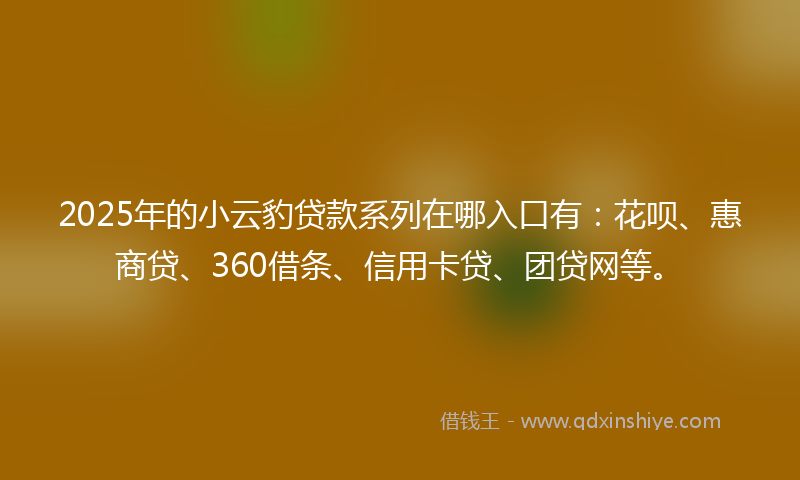 2025年的小云豹贷款系列在哪入口有：花呗、惠商贷、360借条、信用卡贷、团贷网等。