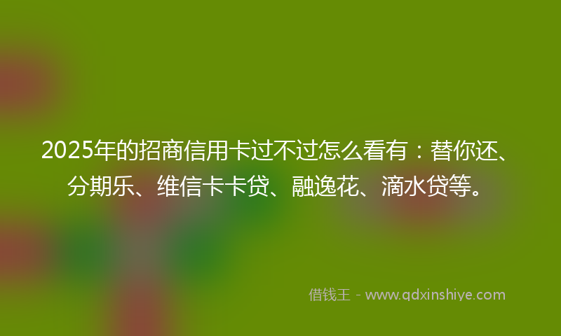 2025年的招商信用卡过不过怎么看有：替你还、分期乐、维信卡卡贷、融逸花、滴水贷等。
