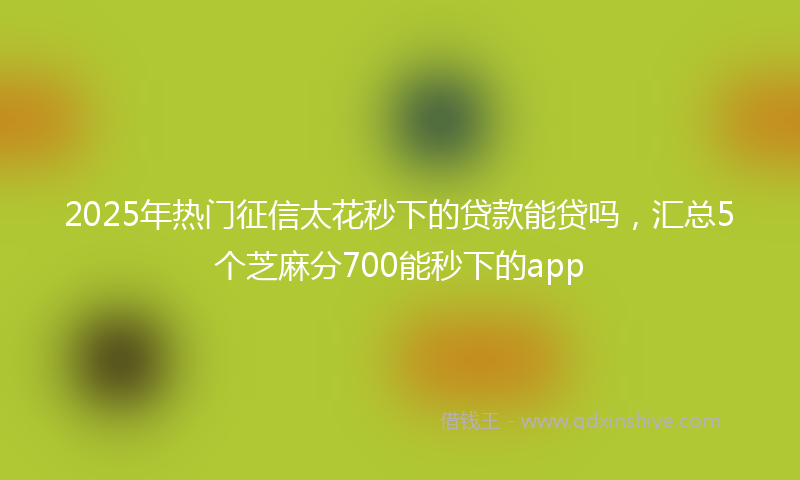 2025年热门征信太花秒下的贷款能贷吗，汇总5个芝麻分700能秒下的app