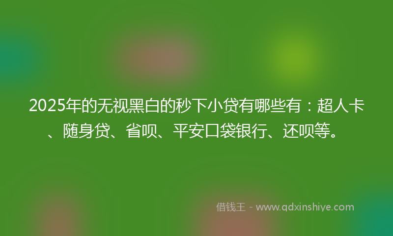 2025年的无视黑白的秒下小贷有哪些有：超人卡、随身贷、省呗、平安口袋银行、还呗等。