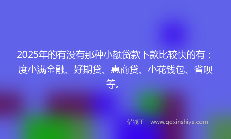 2025年的有没有那种小额贷款下款比较快的有：度小满金融、好期贷、惠商贷、小花钱包、省呗等。