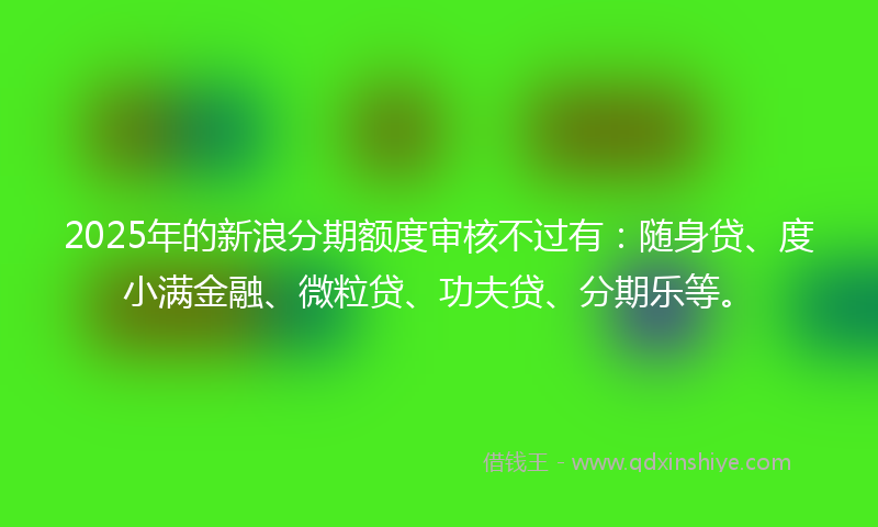 2025年的新浪分期额度审核不过有：随身贷、度小满金融、微粒贷、功夫贷、分期乐等。