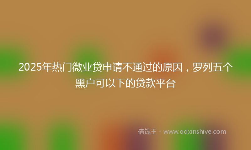 2025年热门微业贷申请不通过的原因,罗列五个黑户可以下的贷款平台