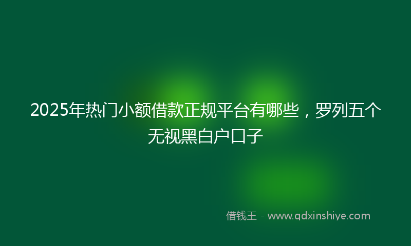 2025年热门小额借款正规平台有哪些，罗列五个无视黑白户口子
