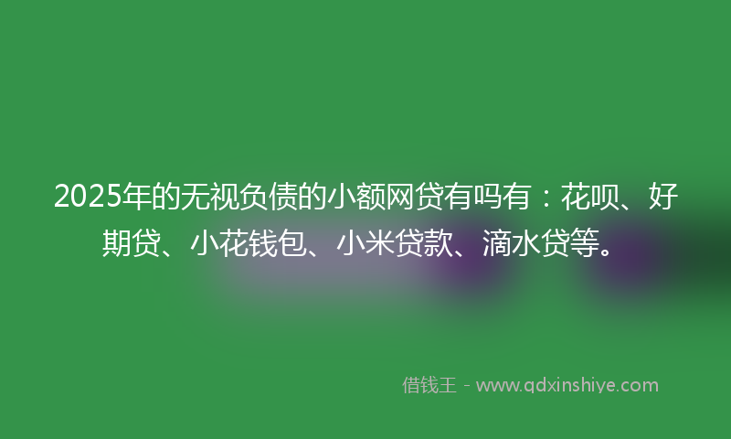 2025年的无视负债的小额网贷有吗有：花呗、好期贷、小花钱包、小米贷款、滴水贷等。
