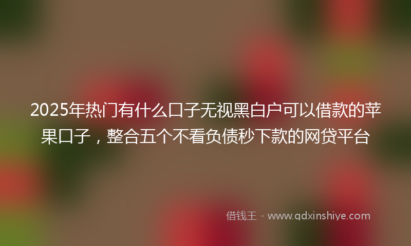 2025年热门有什么口子无视黑白户可以借款的苹果口子，整合五个不看负债秒下款的网贷平台