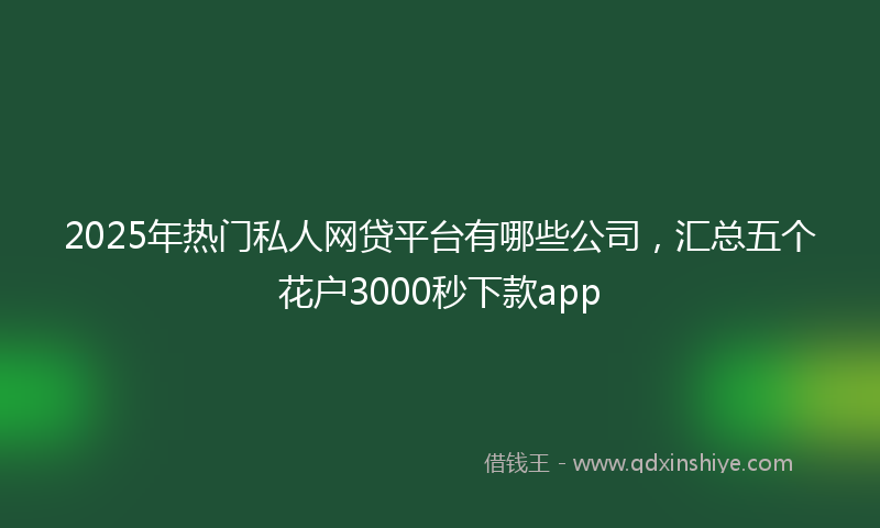 2025年热门私人网贷平台有哪些公司，汇总五个花户3000秒下款app
