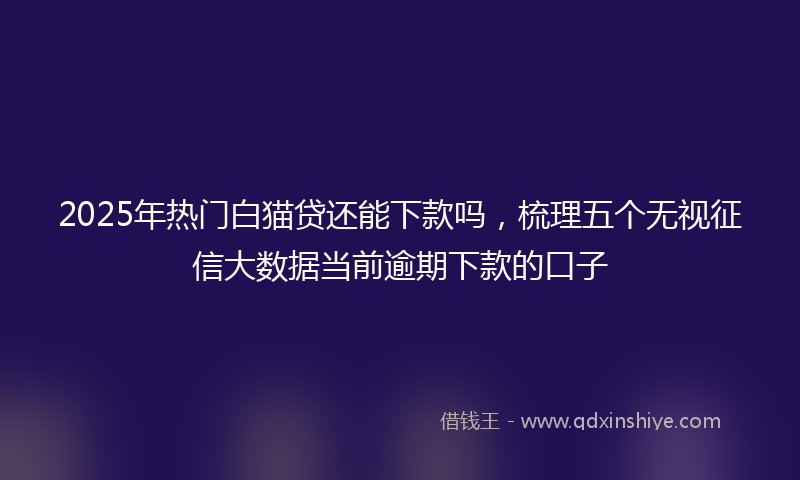 2025年热门白猫贷还能下款吗，梳理五个无视征信大数据当前逾期下款的口子