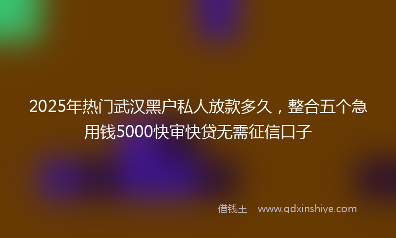 2025年热门武汉黑户私人放款多久，整合五个急用钱5000快审快贷无需征信口子