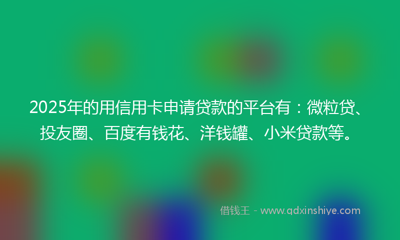 2025年的用信用卡申请贷款的平台有：微粒贷、投友圈、百度有钱花、洋钱罐、小米贷款等。