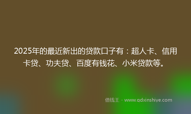 2025年的最近新出的贷款口子有：超人卡、信用卡贷、功夫贷、百度有钱花、小米贷款等。