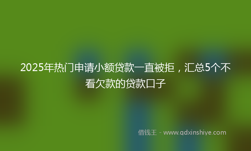 2025年热门申请小额贷款一直被拒，汇总5个不看欠款的贷款口子