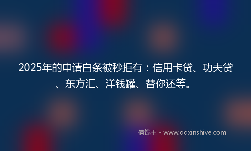 2025年的申请白条被秒拒有：信用卡贷、功夫贷、东方汇、洋钱罐、替你还等。