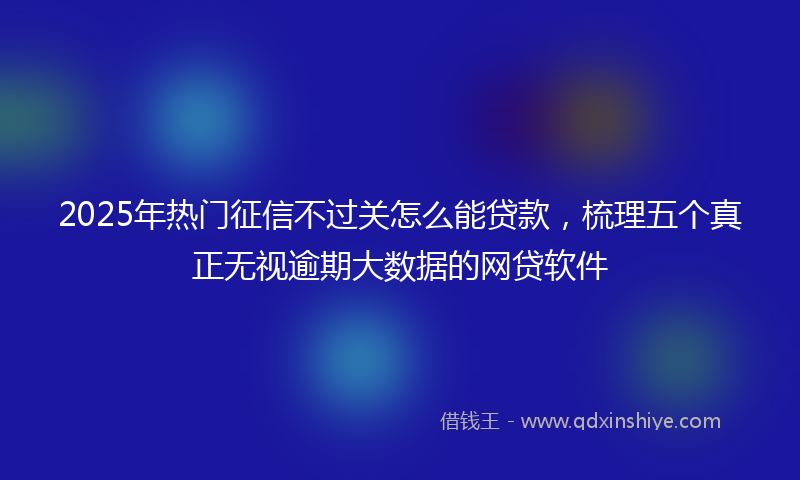 2025年热门征信不过关怎么能贷款，梳理五个真正无视逾期大数据的网贷软件