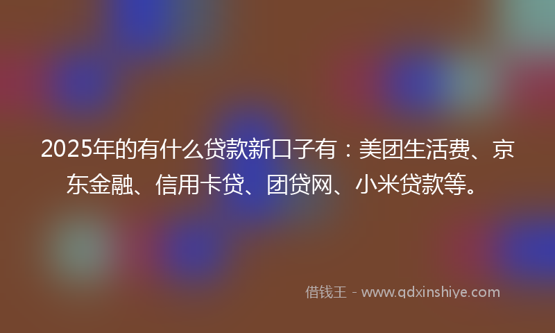 2025年的有什么贷款新口子有：美团生活费、京东金融、信用卡贷、团贷网、小米贷款等。