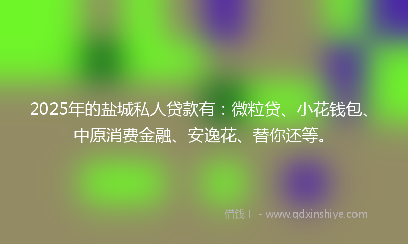 2025年的盐城私人贷款有:微粒贷、小花钱包、中原消费金融、安逸花、替你还等。