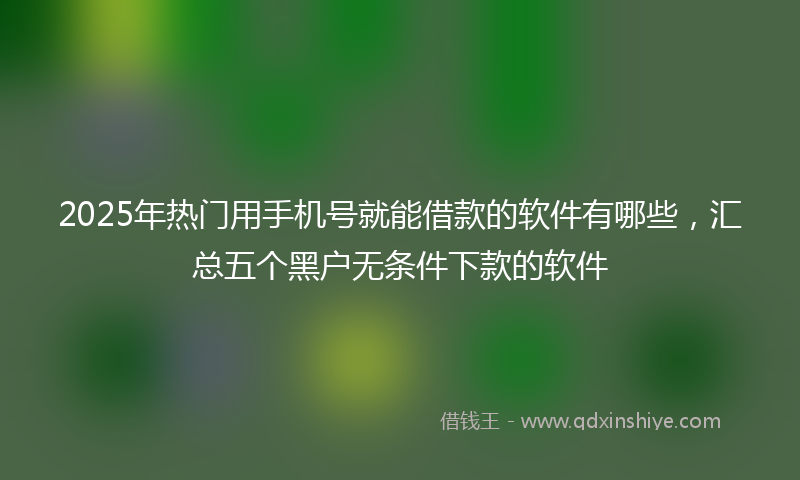 2025年热门用手机号就能借款的软件有哪些，汇总五个黑户无条件下款的软件