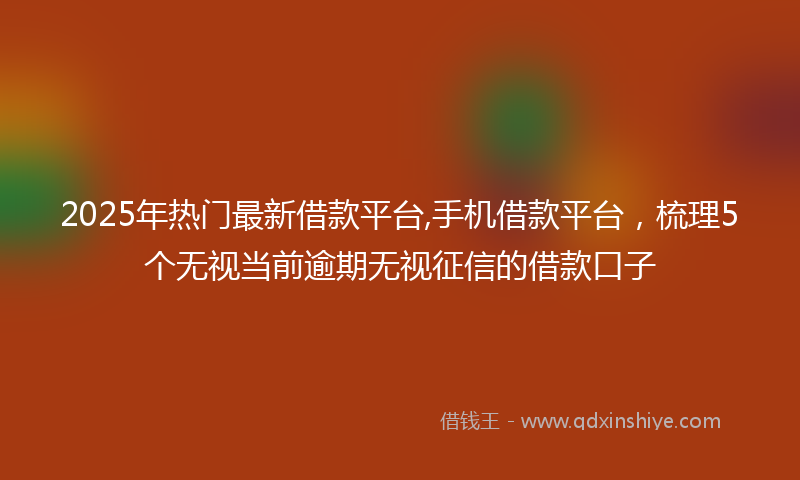 2025年热门最新借款平台,手机借款平台，梳理5个无视当前逾期无视征信的借款口子