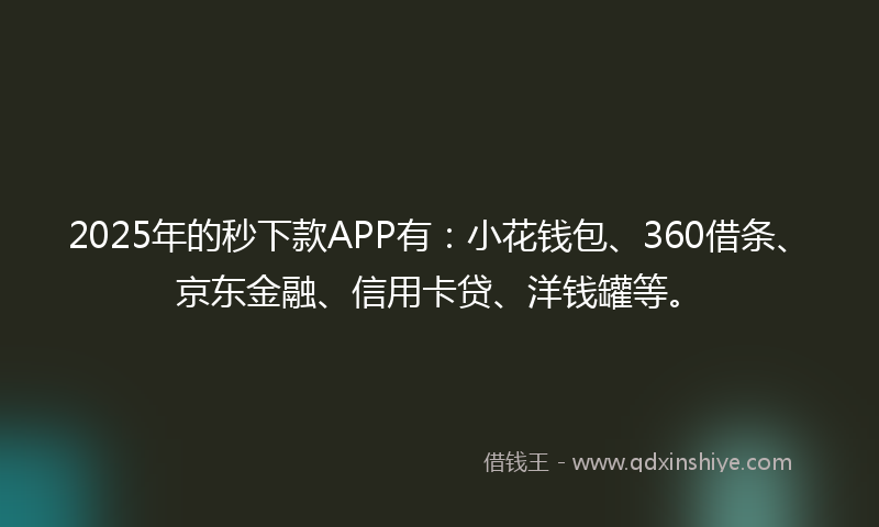 2025年的秒下款APP有：小花钱包、360借条、京东金融、信用卡贷、洋钱罐等。