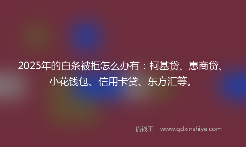 2025年的白条被拒怎么办有：柯基贷、惠商贷、小花钱包、信用卡贷、东方汇等。