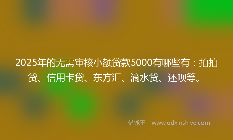 2025年的无需审核小额贷款5000有哪些有：拍拍贷、信用卡贷、东方汇、滴水贷、还呗等。
