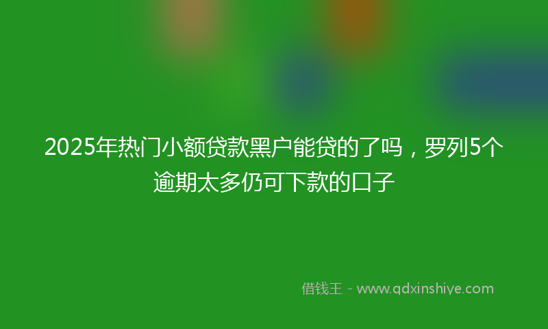 2025年热门小额贷款黑户能贷的了吗，罗列5个逾期太多仍可下款的口子