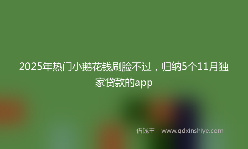 2025年热门小鹅花钱刷脸不过，归纳5个11月独家贷款的app